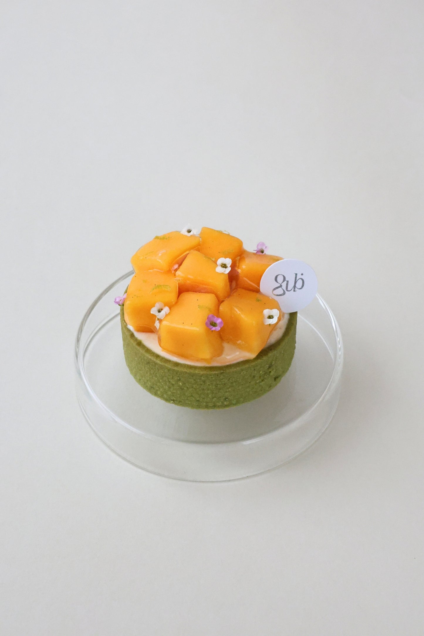 Mango Matcha Nama Chocolate Mochi Tart