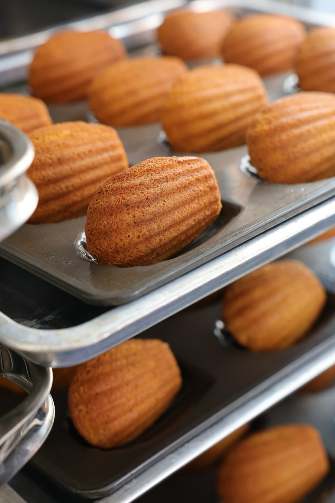 Madeleine (Minimum 10pcs)