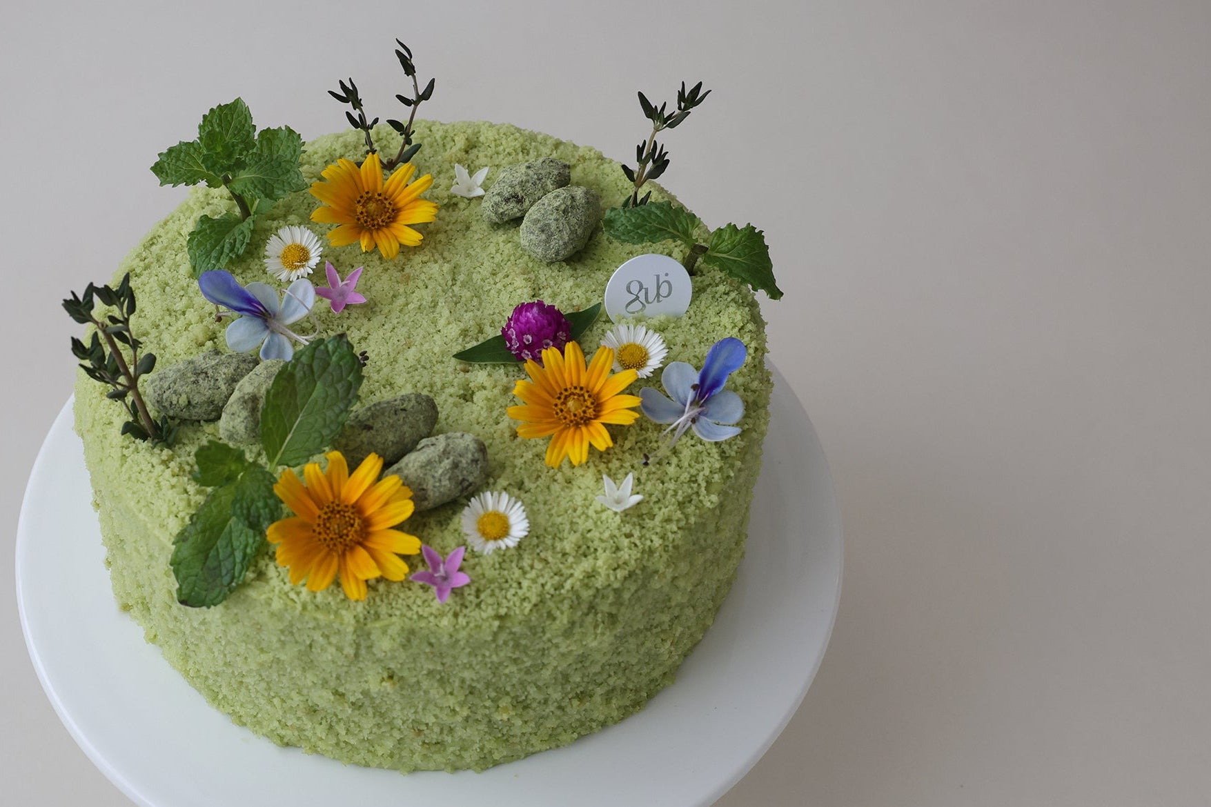 pistachio cake decorated with flowers and small plants on a white background